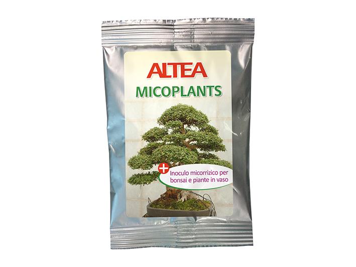 Mycorhizes en poudre (Micoplants) (50 gr), pour bonsaï et plantes en pot